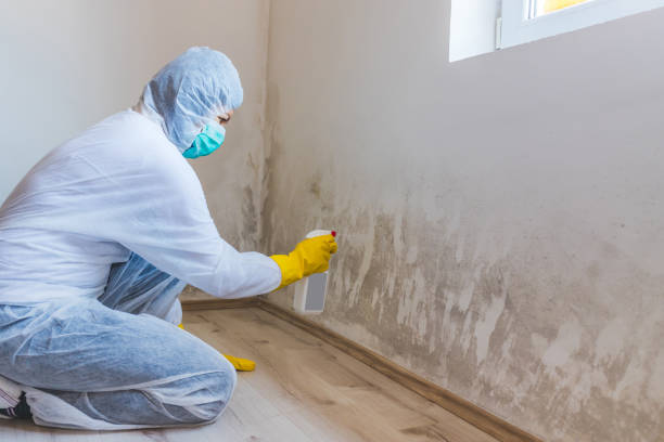 Mold Removal and Inspection in Salisbury, NC