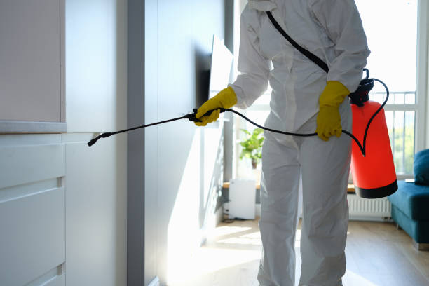 Best Crawl Space Mold Removal  in Salisbury, NC
