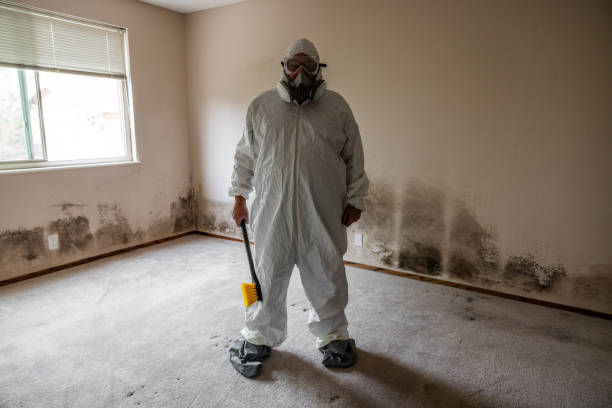 Best Mold Inspection  in Salisbury, NC