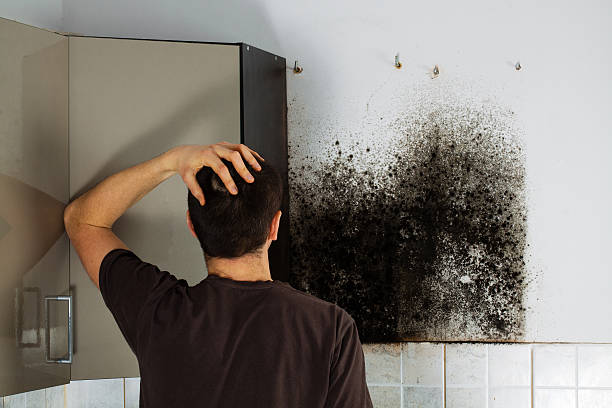 Mold Removal Process in Salisbury, NC